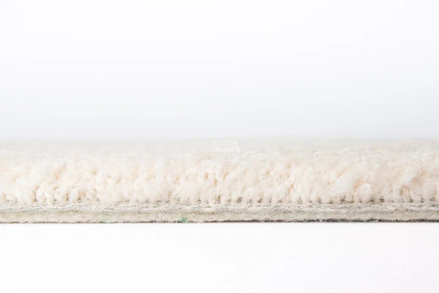 Vorwerk Superior 1065/Viola Vorwerk 6c72 фото 4 | FLOORDEALER